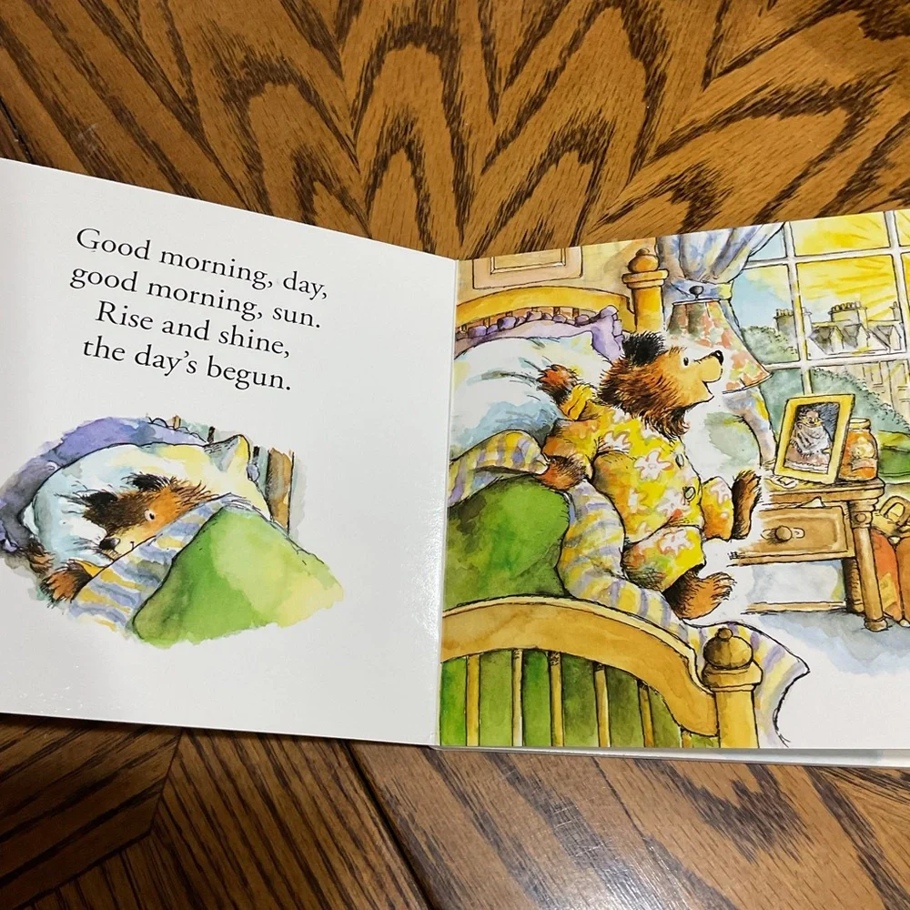 8 Young Children's board books: bitty bear,quiet book,paddington,hungry monster